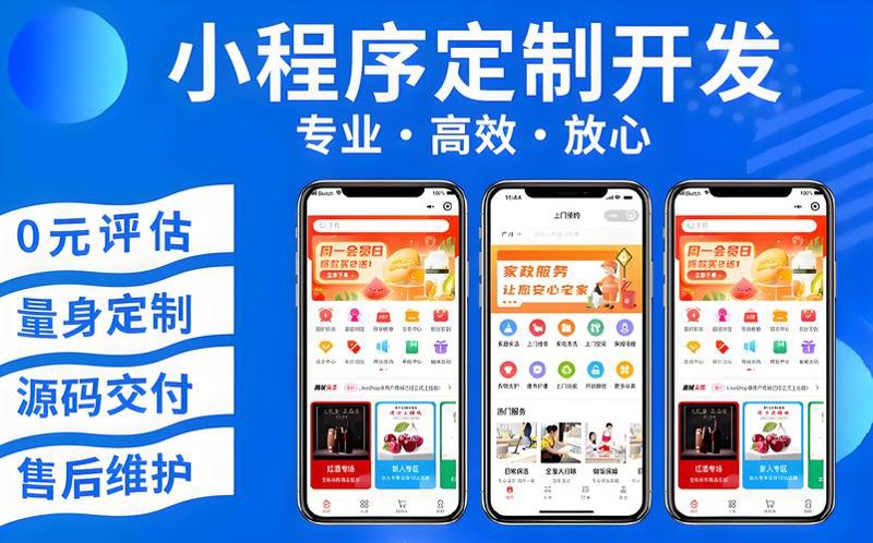 软件开发